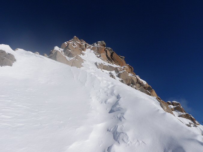 Cosmiques_2013 (18).jpg